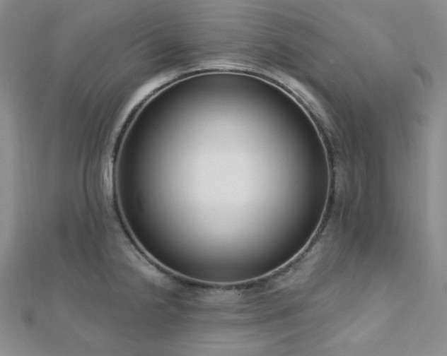 X0000112721238200908201241