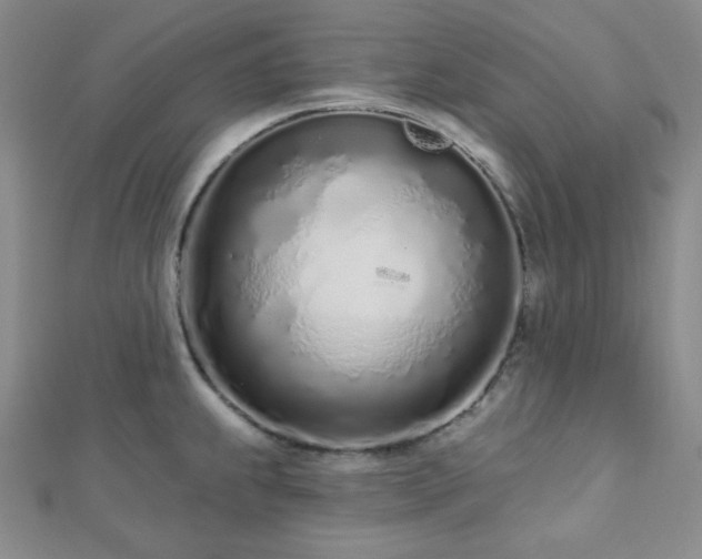 X0000112721239200908201241