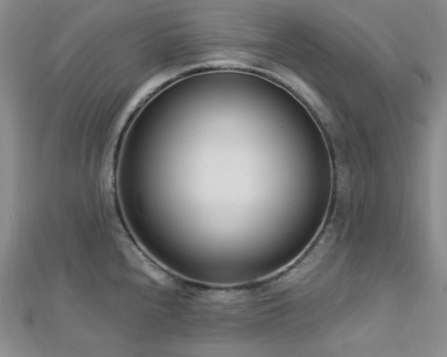 X0000112721240200908201241