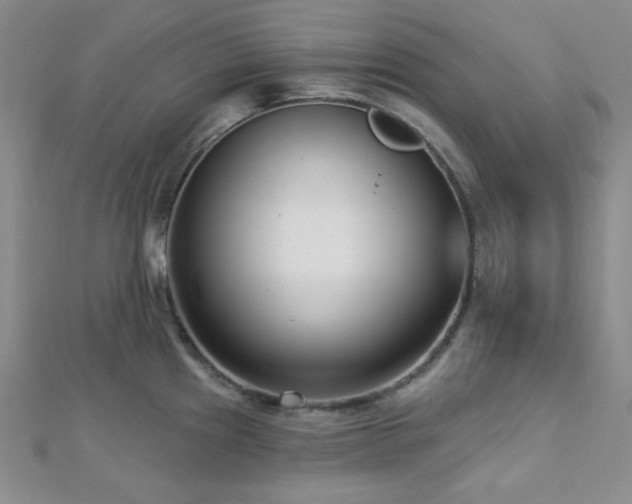 X0000112721241200908201241