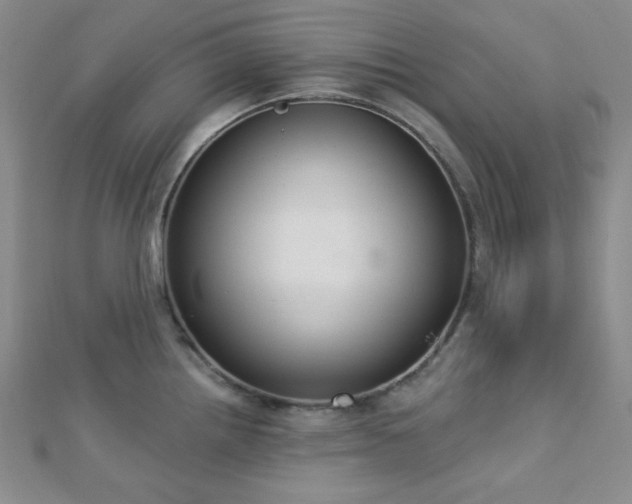X0000112721242200908201241