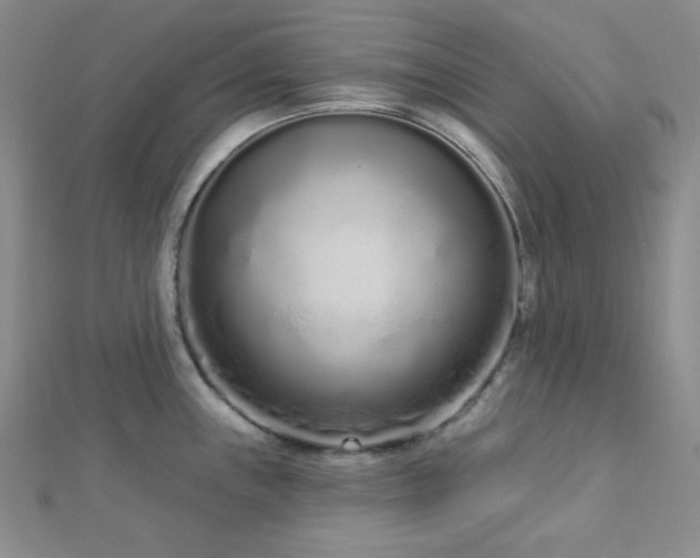 X0000112721243200908201241