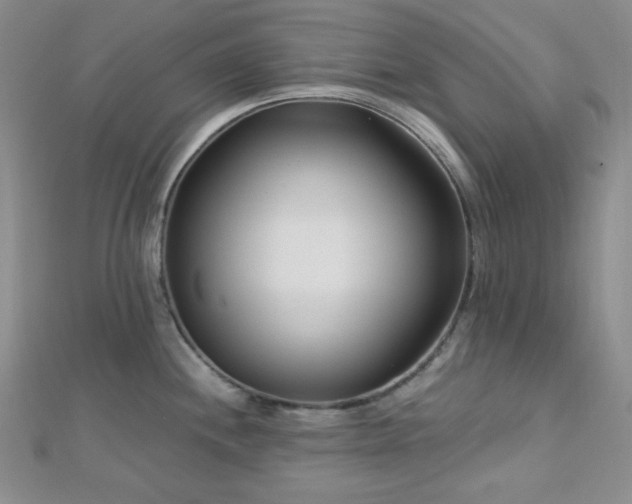 X0000112721244200908201241