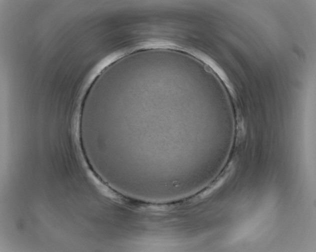 X0000112721245200908201241