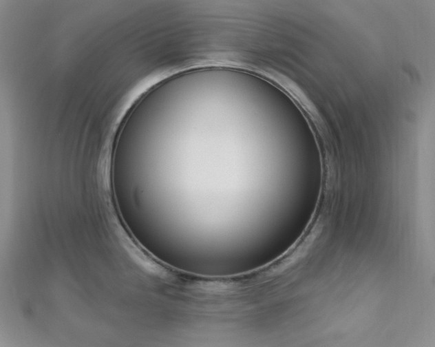 X0000112721246200908201241