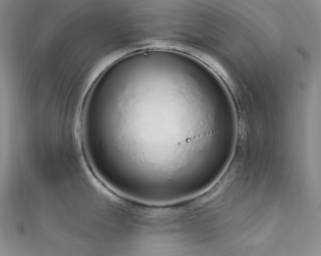X0000112721247200908201241