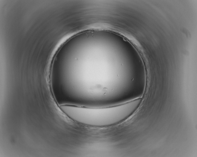 X0000112721248200908201241