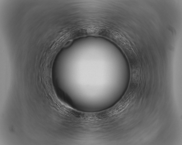 X0000112721249200908201241