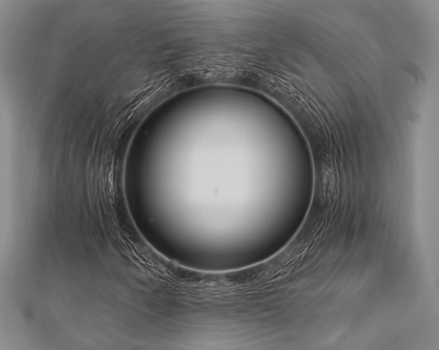 X0000112721250200908201241