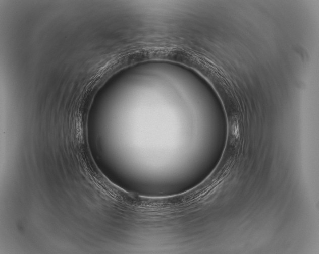 X0000112721252200908201241