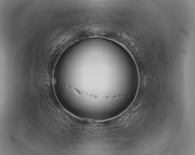 X0000112721253200908201241