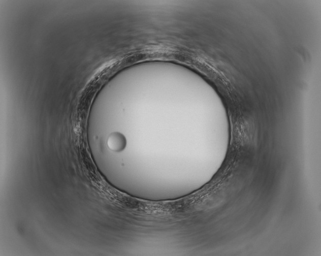 X0000112721254200908201241