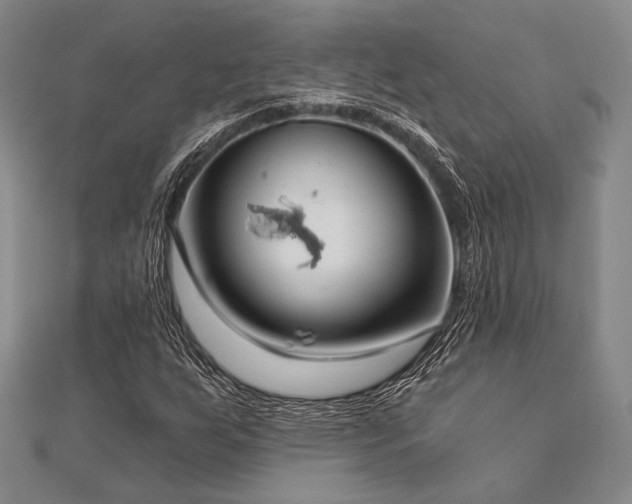 X0000112721255200908201241
