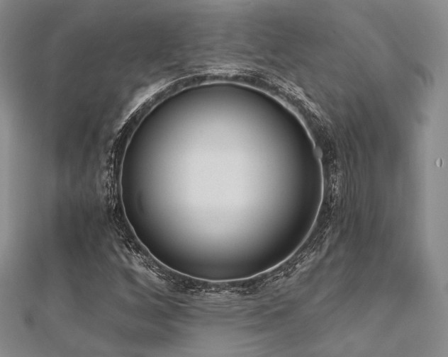 X0000112721256200908201241