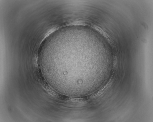 X0000112721258200908201241