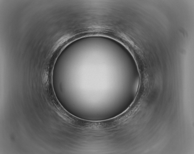 X0000112721259200908201241