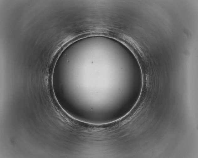 X0000112721260200908201241