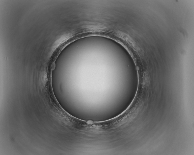 X0000112721261200908201241