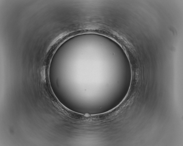 X0000112721262200908201241