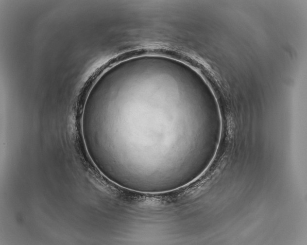 X0000112721263200908201241