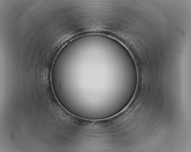X0000112721265200908201241