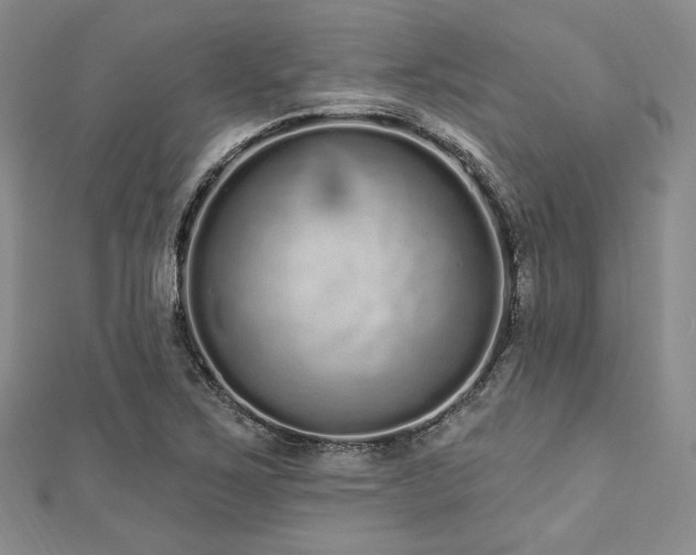 X0000112721267200908201241