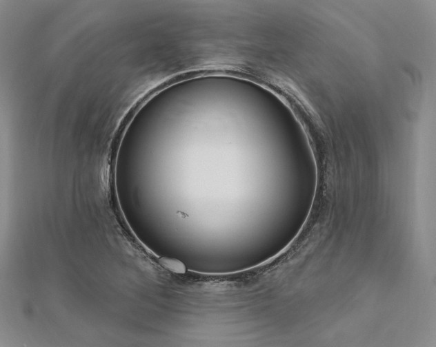 X0000112721268200908201241