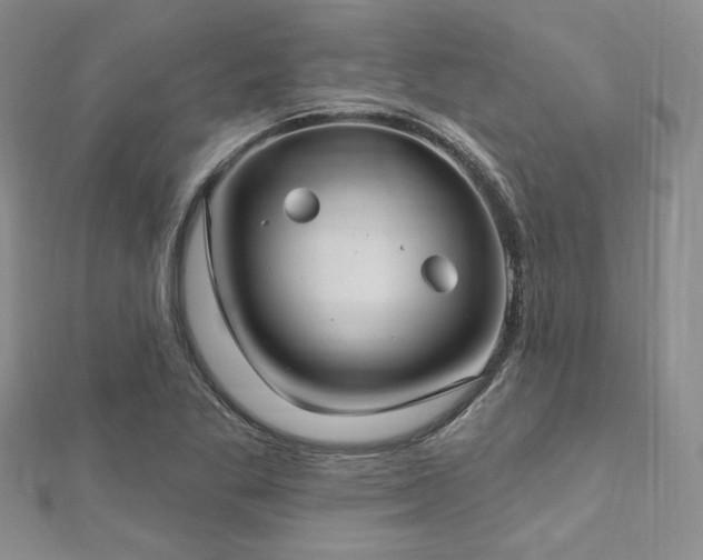 X0000112721269200908201240