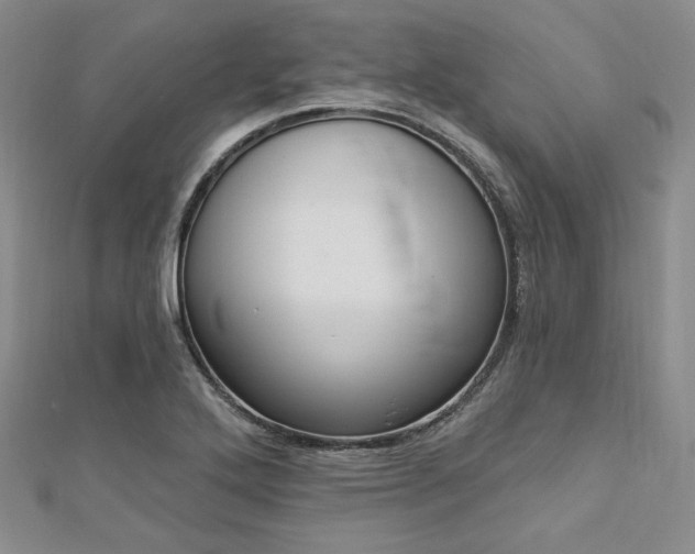 X0000112721272200908201240