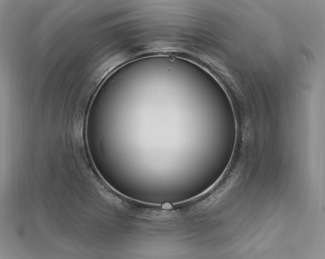 X0000112721273200908201240