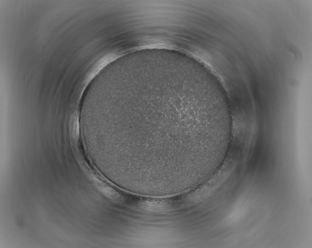 X0000112721274200908201240