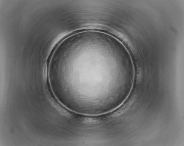 X0000112721275200908201240