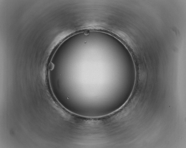 X0000112721277200908201240