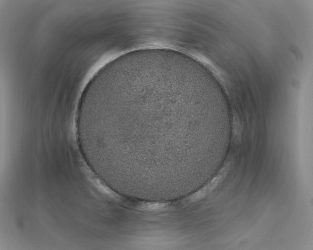 X0000112721278200908201240