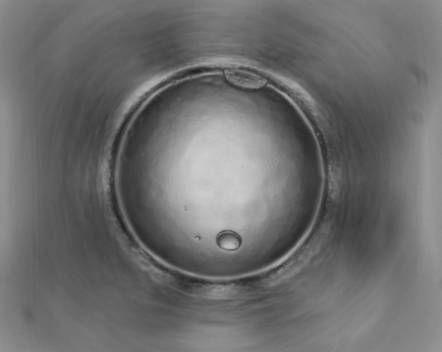 X0000112721279200908201240