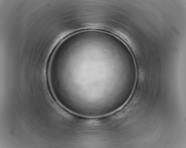 X0000112721283200908201240