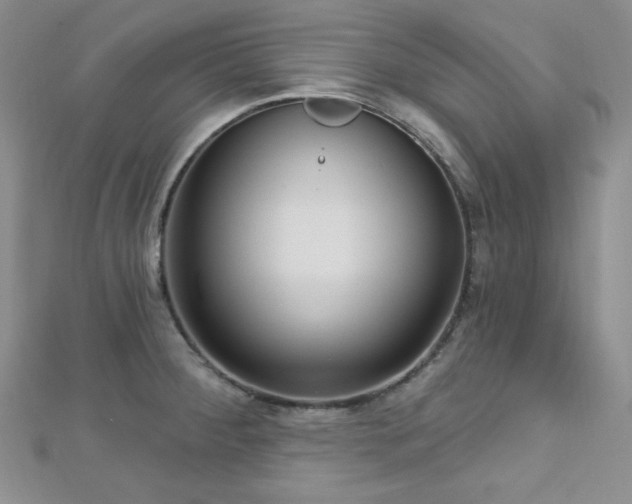X0000112721284200908201240