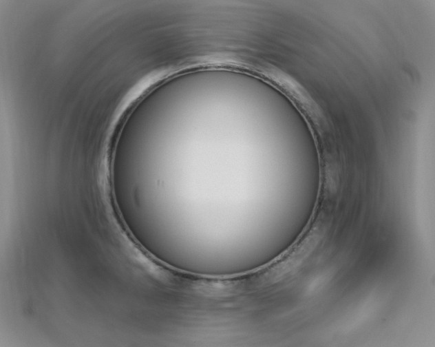X0000112721286200908201240