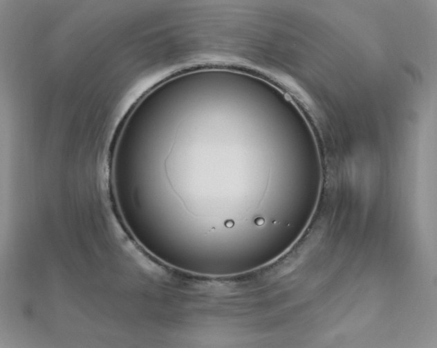 X0000112721287200908201240
