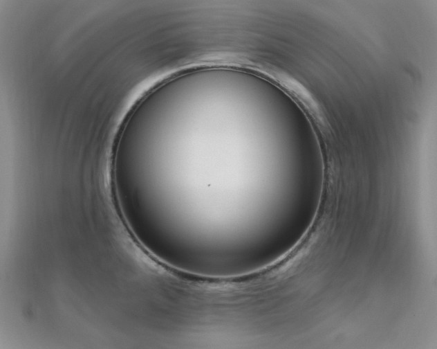 X0000112721288200908201240