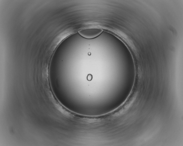 X0000112721289200908201240