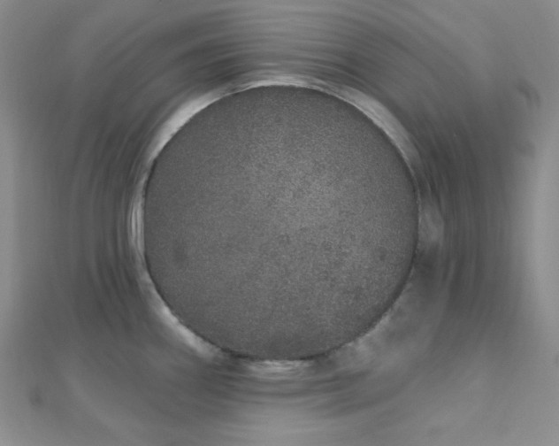 X0000112721290200908201240