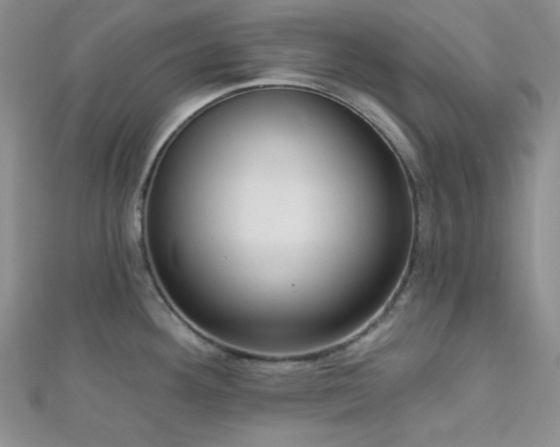 X0000112721292200908201240