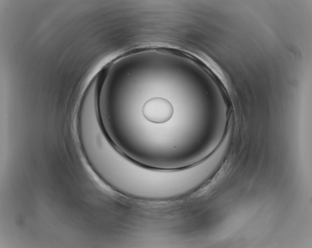 X0000112721293200908201240