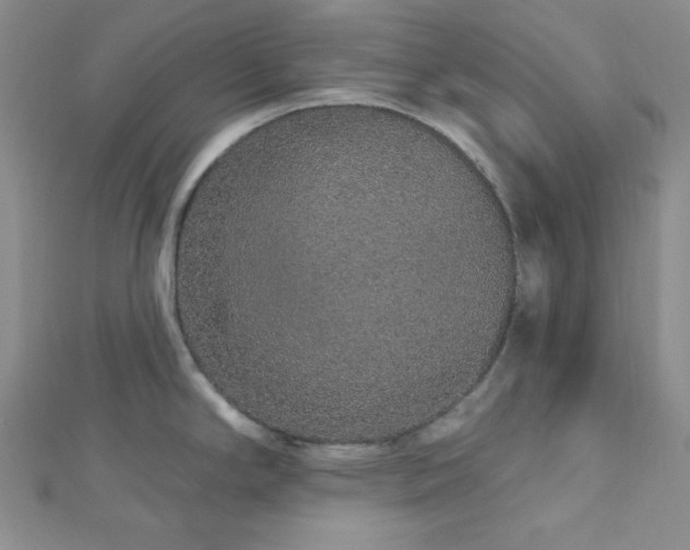 X0000112721294200908201240