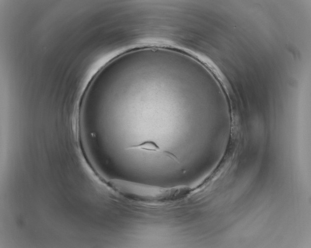 X0000112721295200908201240
