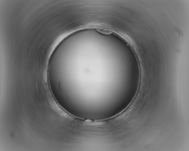 X0000112721296200908201240