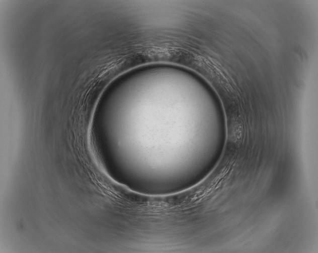 X0000112721297200908201240