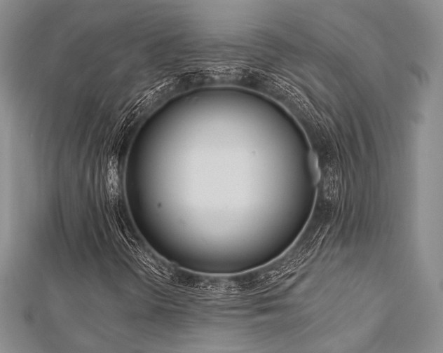 X0000112721298200908201240