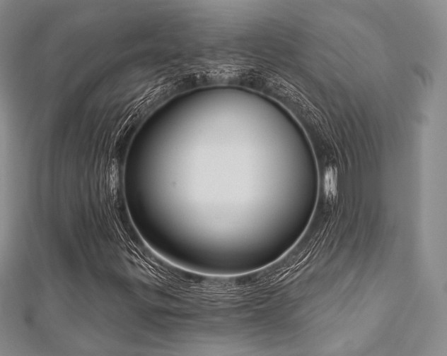 X0000112721299200908201240